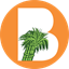 Balrampur Chini Mills Ltd. logo