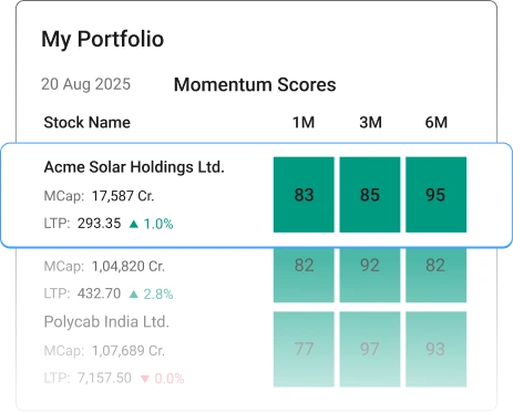 My Portfolio